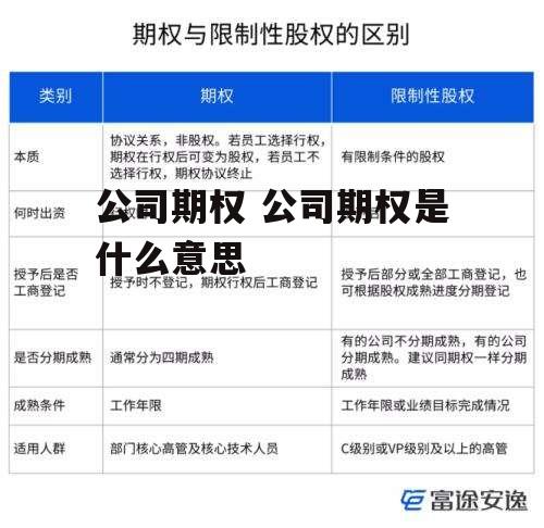 公司期权 公司期权是什么意思