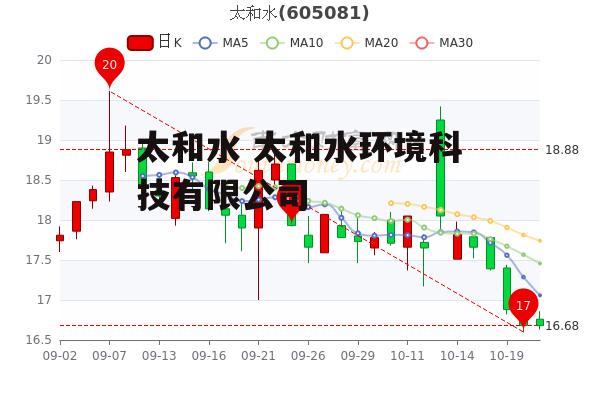 太和水 太和水环境科技有限公司