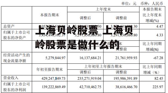 上海贝岭股票 上海贝岭股票是做什么的