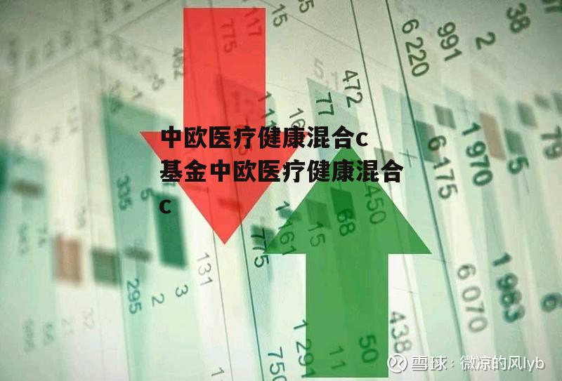 中欧医疗健康混合c 基金中欧医疗健康混合c