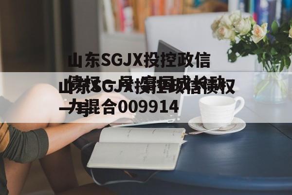 山东SGJX投控政信债权一号 富国成长动力混合009914