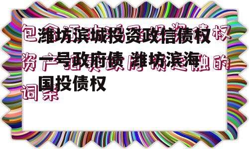 潍坊滨城投资政信债权一号政府债 潍坊滨海国投债权