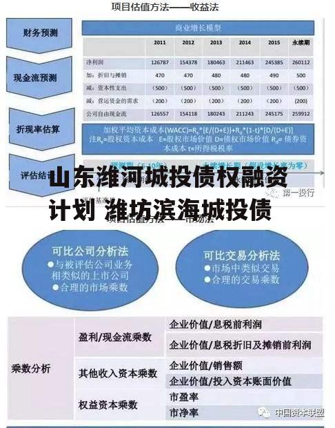 山东潍河城投债权融资计划 潍坊滨海城投债