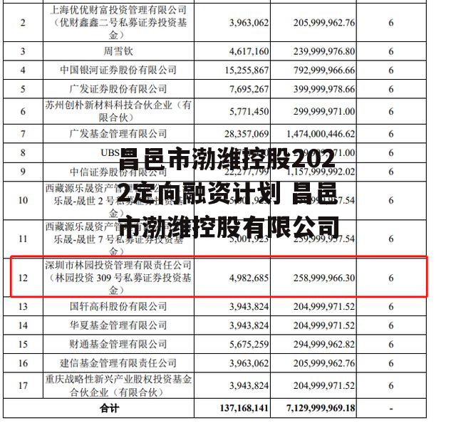 昌邑市渤潍控股2022定向融资计划 昌邑市渤潍控股有限公司