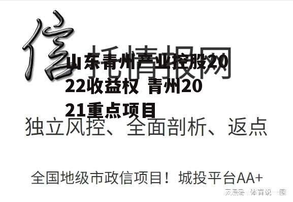 山东青州产业控股2022收益权 青州2021重点项目