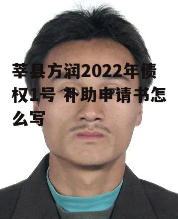 莘县方润2022年债权1号 补助申请书怎么写