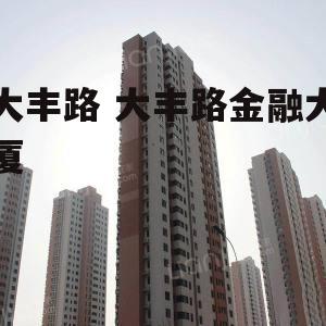 大丰路 大丰路金融大厦