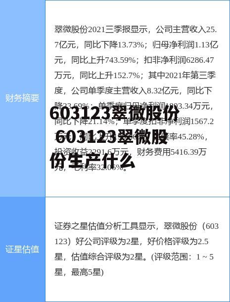 603123翠微股份 603123翠微股份生产什么