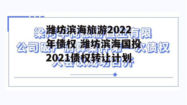 潍坊滨海旅游2022年债权 潍坊滨海国投2021债权转让计划