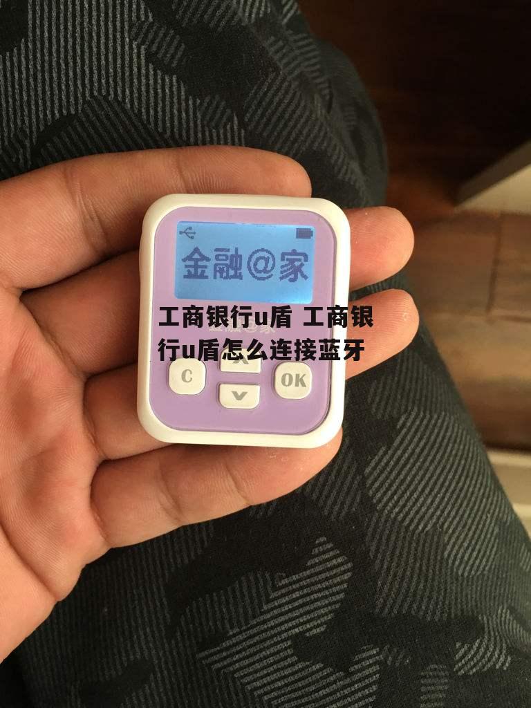 工商银行u盾 工商银行u盾怎么连接蓝牙