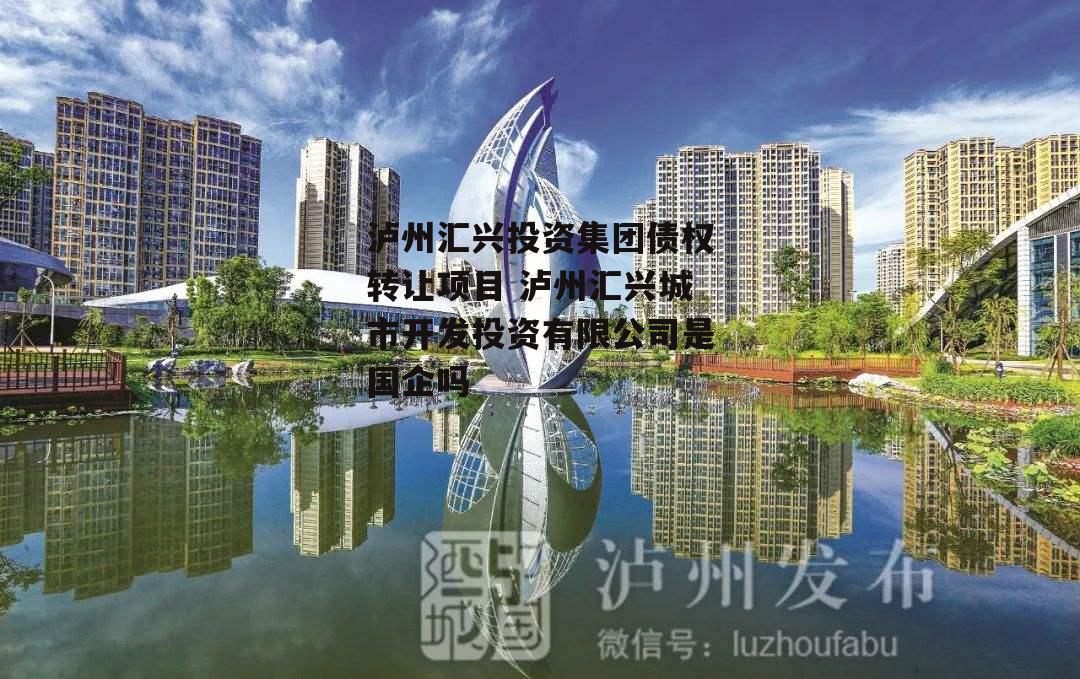 泸州汇兴投资集团债权转让项目 泸州汇兴城市开发投资有限公司是国企吗