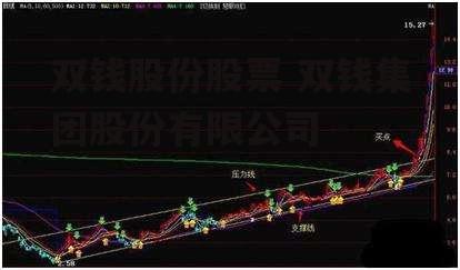 双钱股份股票 双钱集团股份有限公司