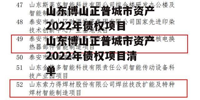 山东博山正普城市资产2022年债权项目 山东博山正普城市资产2022年债权项目清单