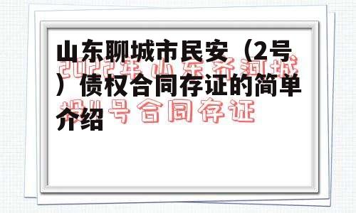 山东聊城市民安（2号）债权合同存证的简单介绍