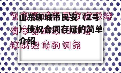 山东聊城市民安（2号）债权合同存证的简单介绍