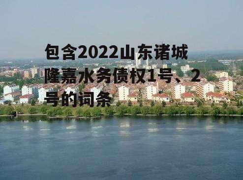 包含2022山东诸城隆嘉水务债权1号、2号的词条