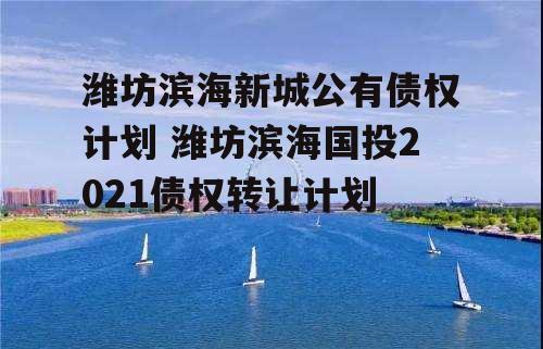 潍坊滨海新城公有债权计划 潍坊滨海国投2021债权转让计划