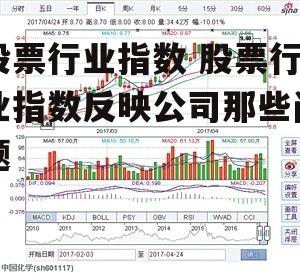 股票行业指数 股票行业指数反映公司那些问题