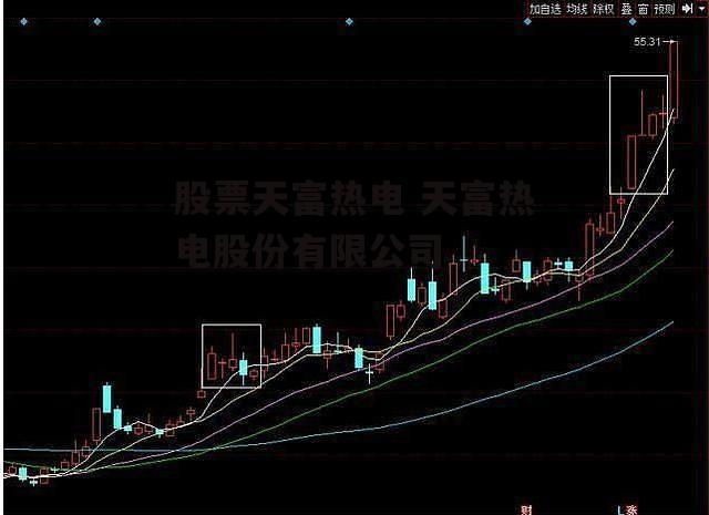 股票天富热电 天富热电股份有限公司