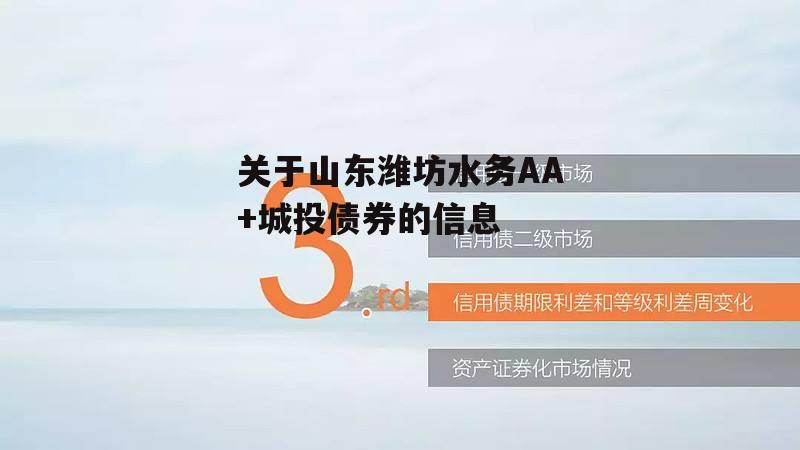 关于山东潍坊水务AA+城投债券的信息