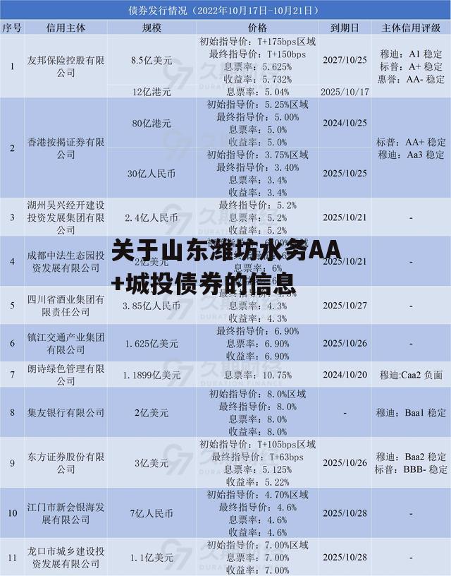 关于山东潍坊水务AA+城投债券的信息