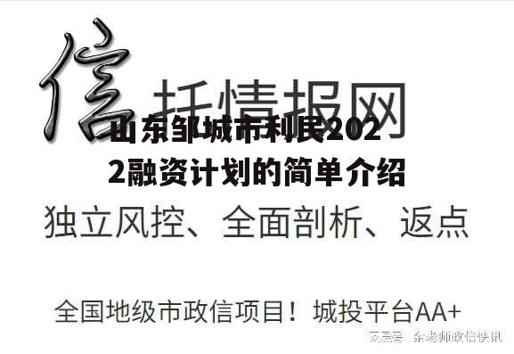 山东邹城市利民2022融资计划的简单介绍