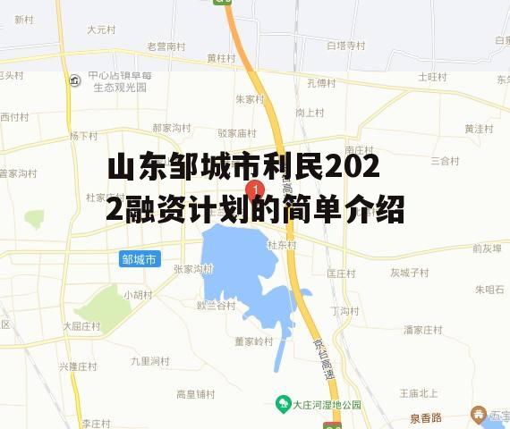 山东邹城市利民2022融资计划的简单介绍