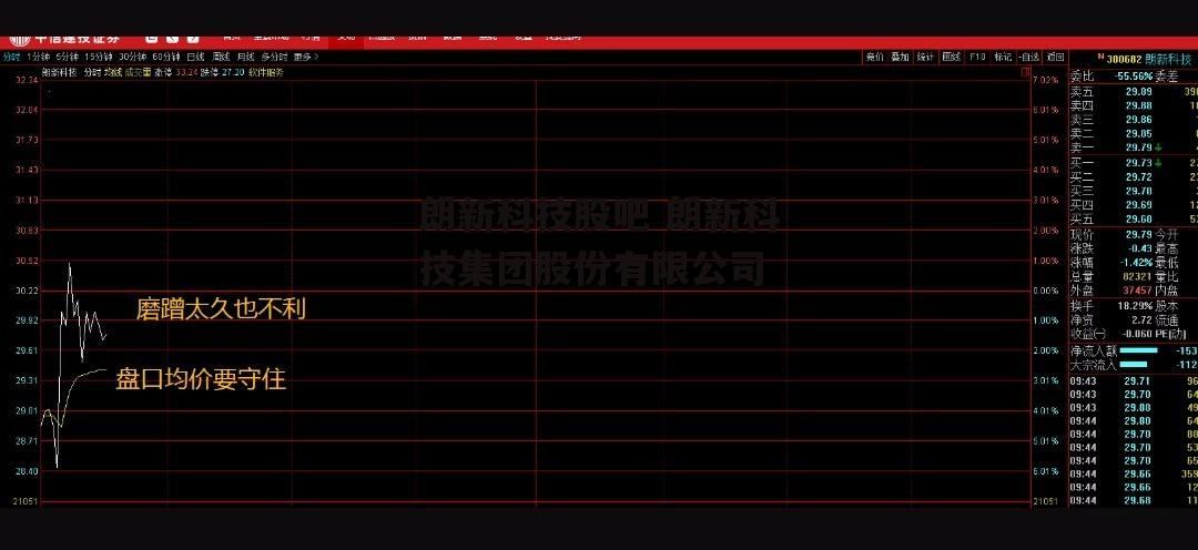 朗新科技股吧 朗新科技集团股份有限公司