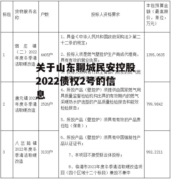 关于山东聊城民安控股2022债权2号的信息