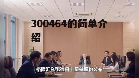 300464的简单介绍