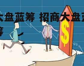 大盘蓝筹 招商大盘蓝筹