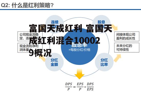 富国天成红利 富国天成红利混合100029概况