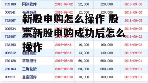 新股申购怎么操作 股票新股申购成功后怎么操作