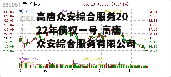 高唐众安综合服务2022年债权一号 高唐众安综合服务有限公司