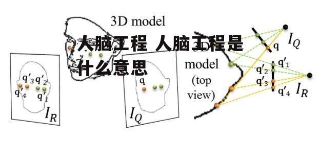 人脑工程 人脑工程是什么意思