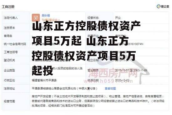 山东正方控股债权资产项目5万起 山东正方控股债权资产项目5万起投