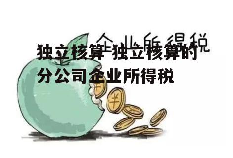 独立核算 独立核算的分公司企业所得税