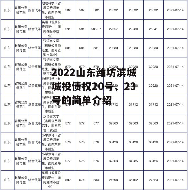 2022山东潍坊滨城城投债权20号、23号的简单介绍