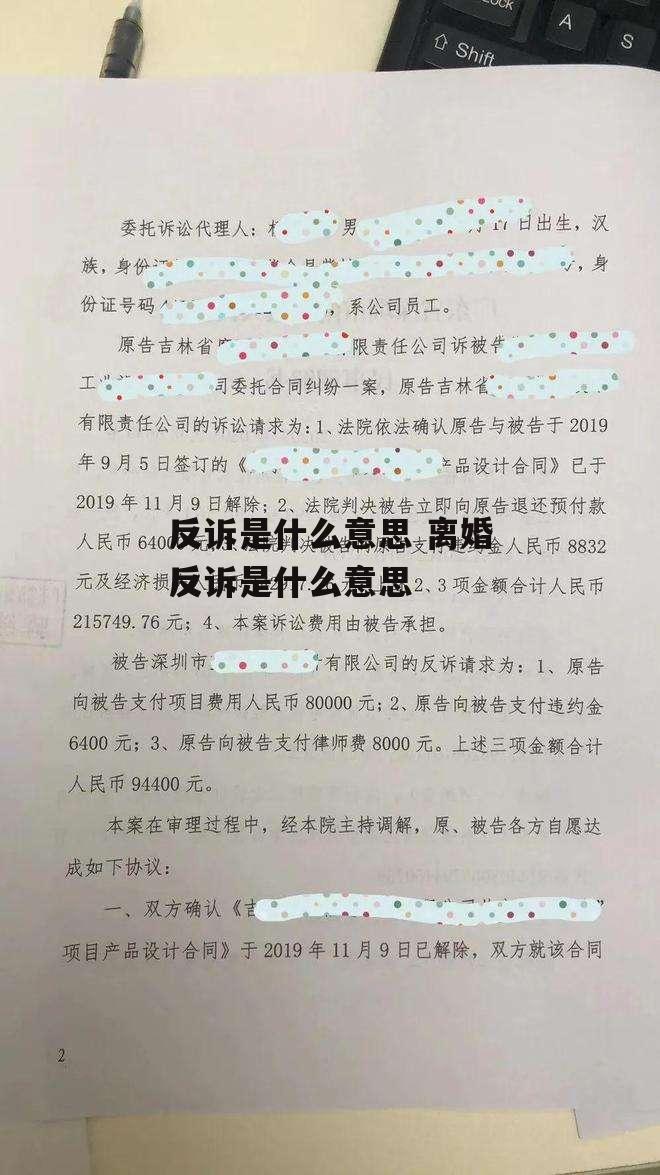 反诉是什么意思 离婚反诉是什么意思