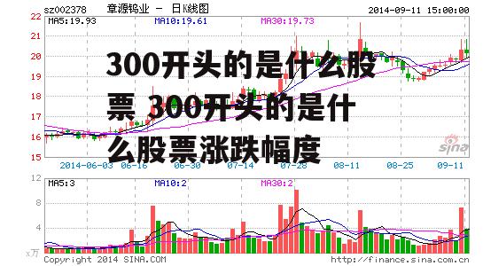 300开头的是什么股票 300开头的是什么股票涨跌幅度