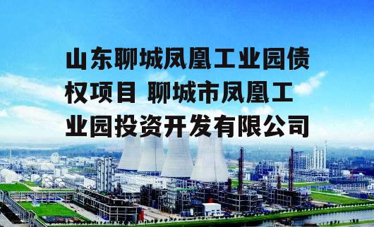 山东聊城凤凰工业园债权项目 聊城市凤凰工业园投资开发有限公司