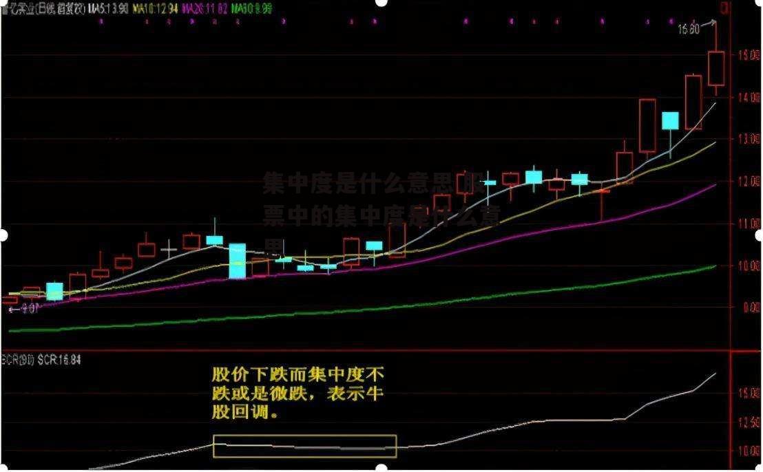 集中度是什么意思 股票中的集中度是什么意思