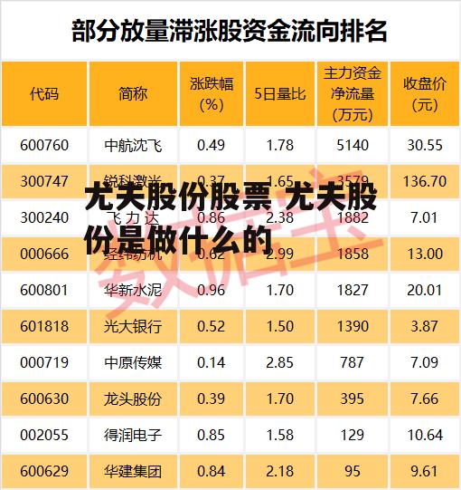 尤夫股份股票 尤夫股份是做什么的