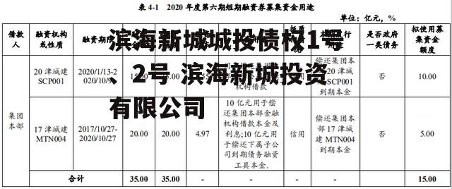 滨海新城城投债权1号、2号 滨海新城投资有限公司