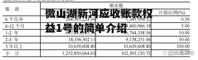 微山湖新河应收账款权益1号的简单介绍