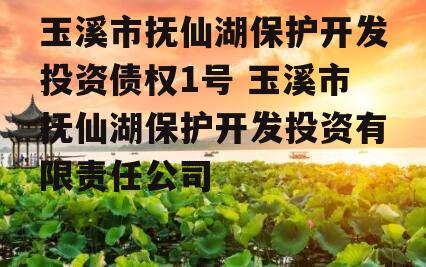 玉溪市抚仙湖保护开发投资债权1号 玉溪市抚仙湖保护开发投资有限责任公司