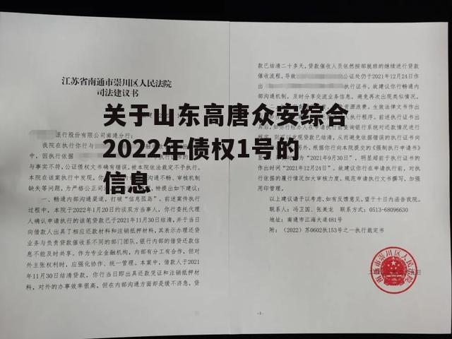 关于山东高唐众安综合2022年债权1号的信息