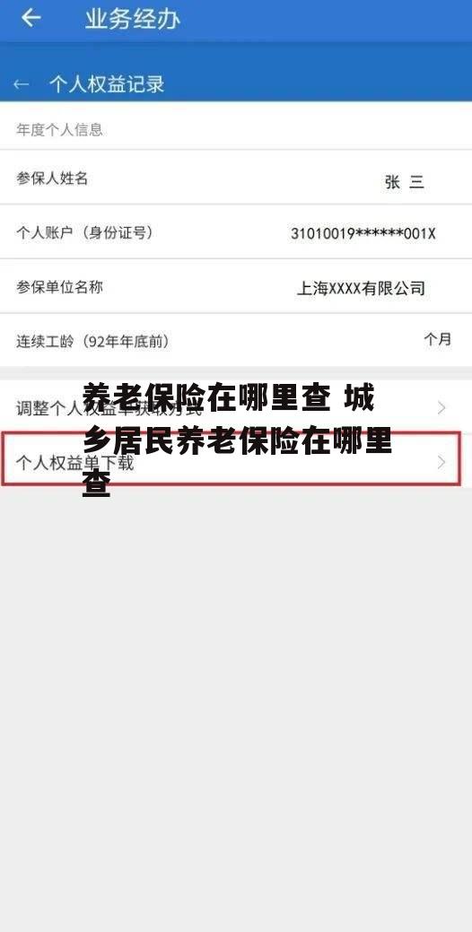 养老保险在哪里查 城乡居民养老保险在哪里查