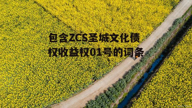 包含ZCS圣城文化债权收益权01号的词条