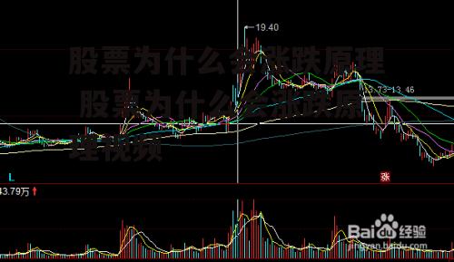 股票为什么会涨跌原理 股票为什么会涨跌原理视频